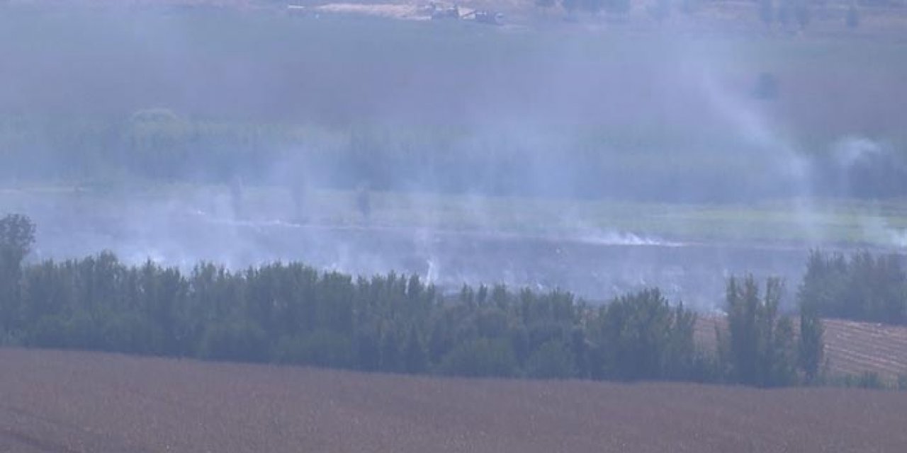 UNESCO listesindeki Hevsel Bahçeleri’nde yangın!