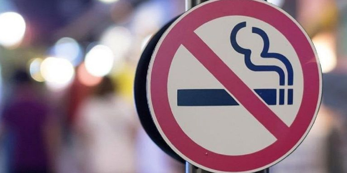 DSÖ uyardı: Okullarda sigara içilmesinin yasaklanmasını istiyor