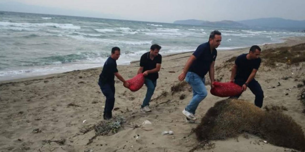 Tonlarca kum şırlanı ele geçirildi