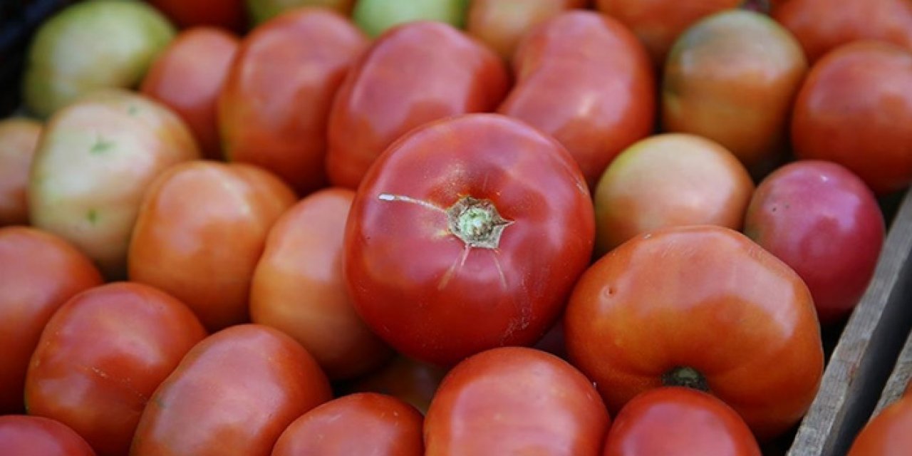 "Guldar domatesi" coğrafi işaretle tescillendi