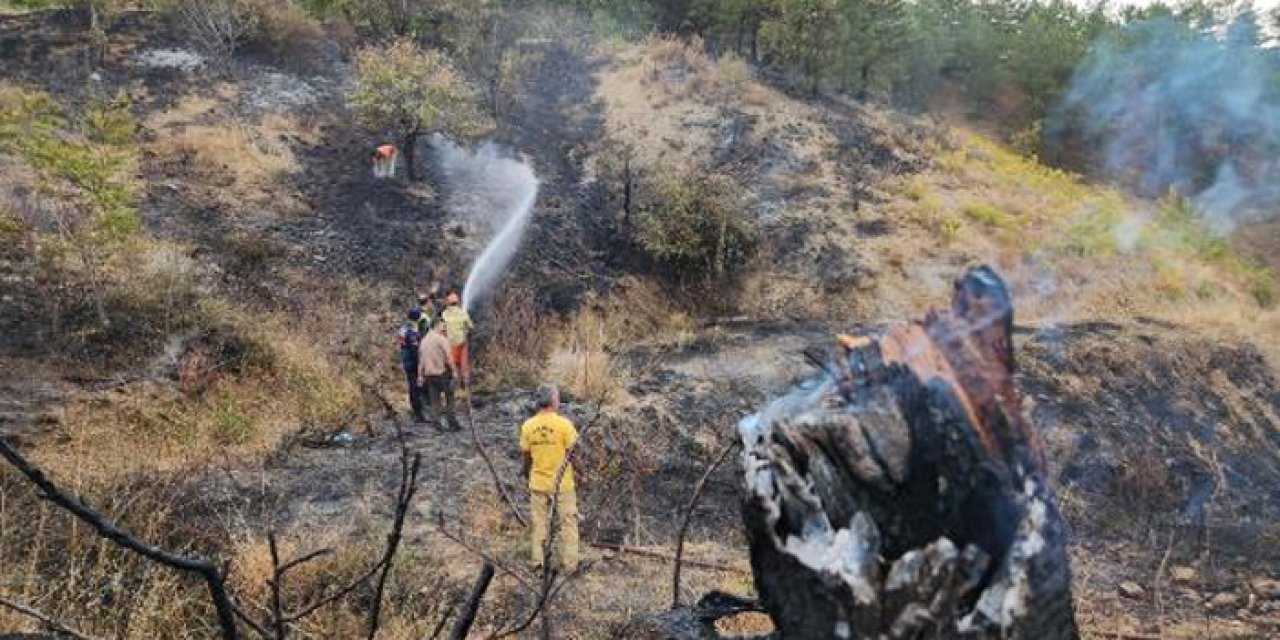 Konya'da yangın: 3 hektarlık alan kül oldu