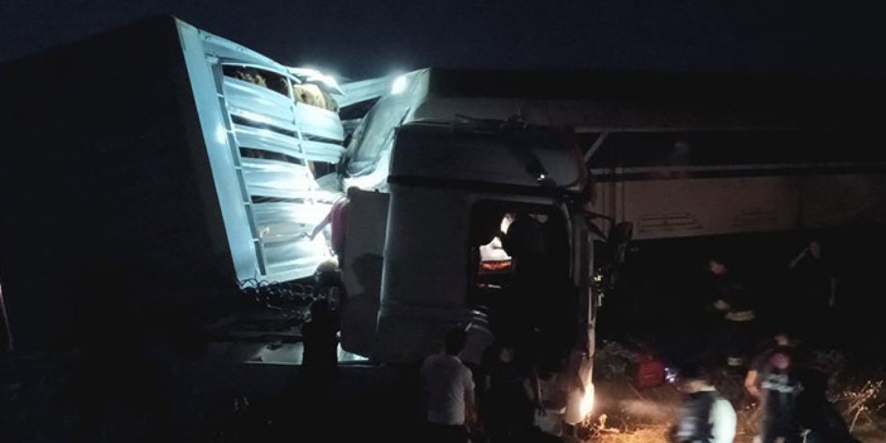 Yük treni TIR’a çarptı: 50 koyun telef oldu