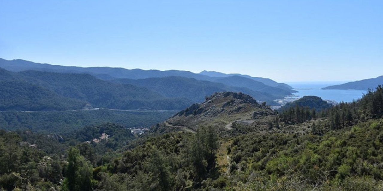 Milli parklarda yılın ilk 8 ayında rekor kırıldı