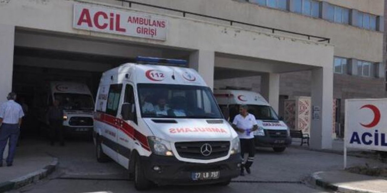 Ceviz ağacından düşen çiftçi yaralandı