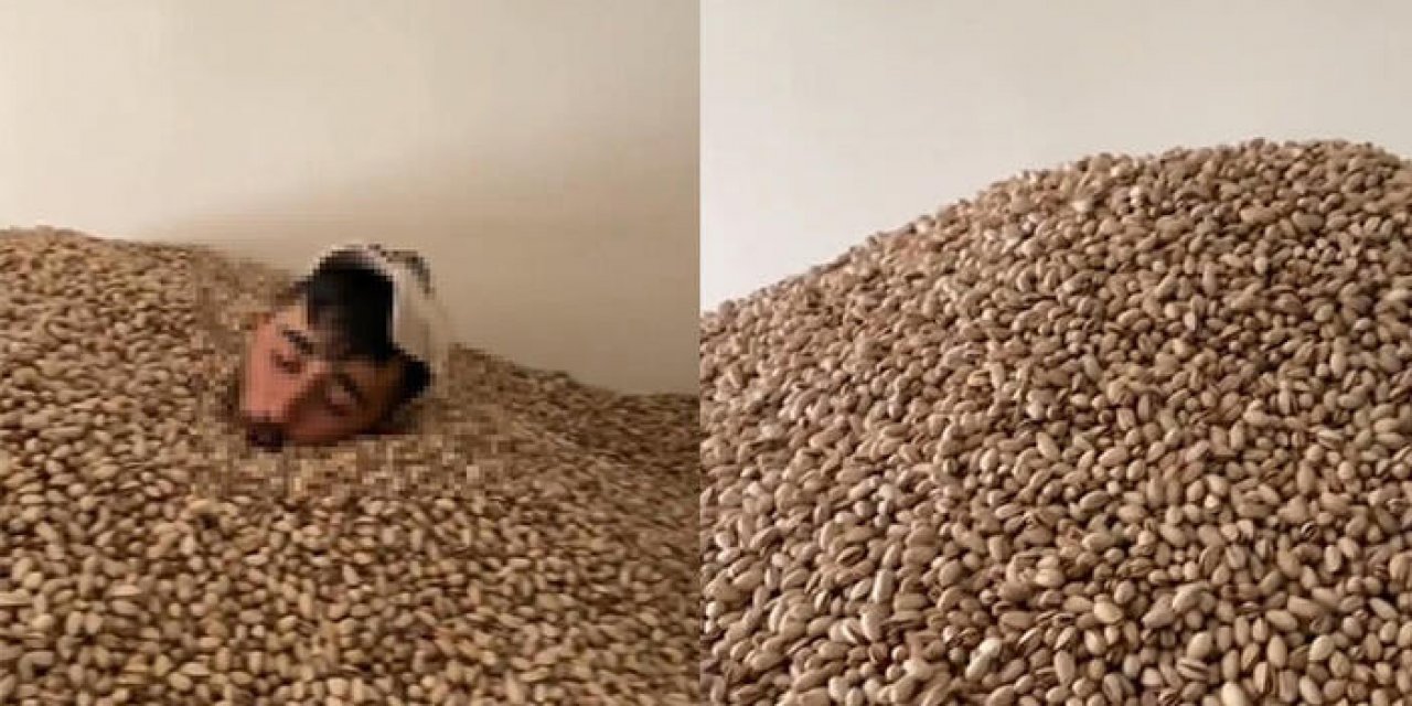 Fıstık deposunda akıl almaz görüntüler