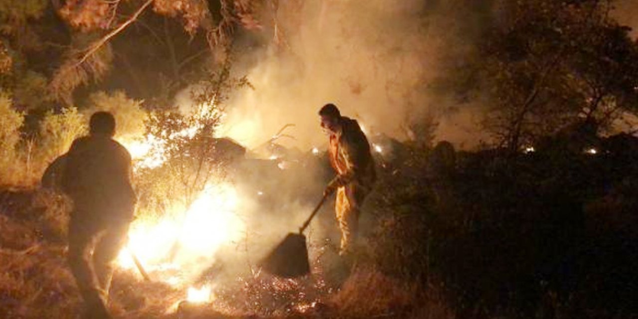 Orman yangını 2 saatte kontrol altına alındı