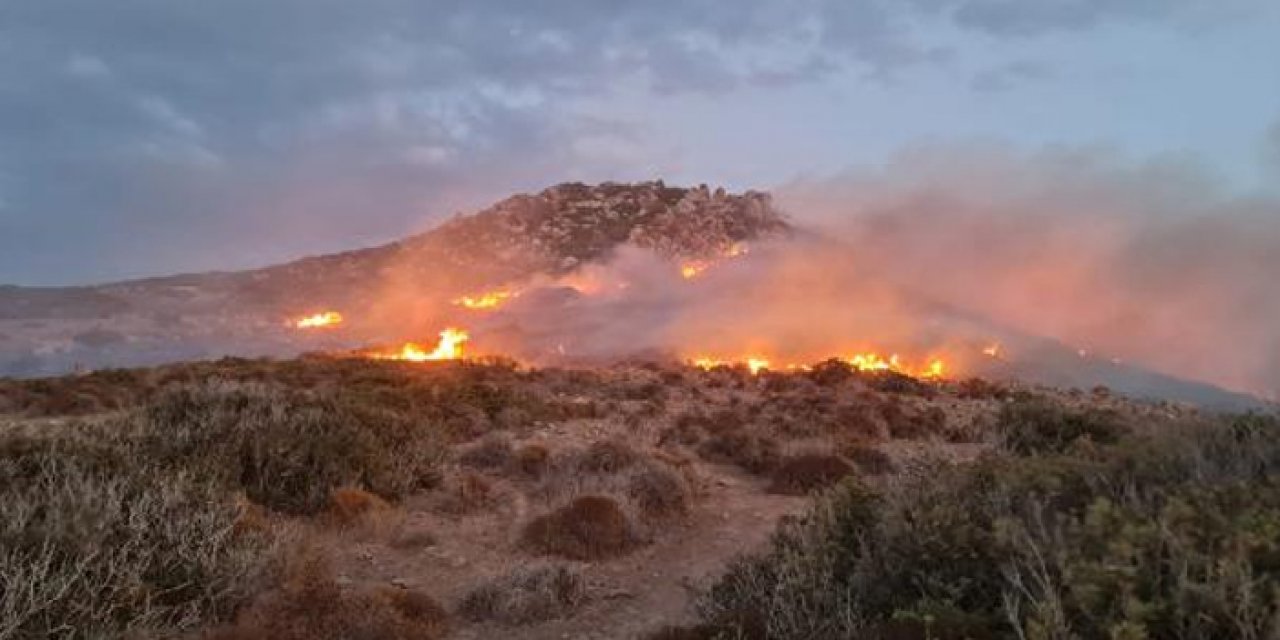 Bodrum'daki yangın 3 saat sürdü