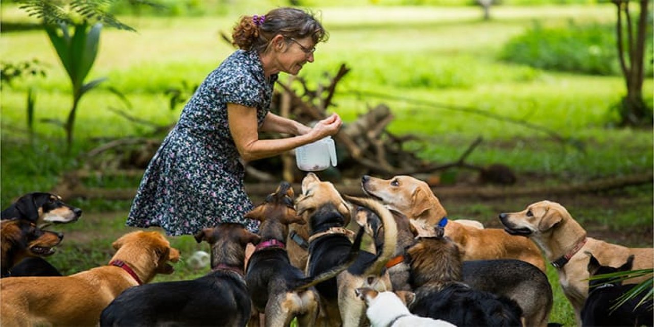 Hayvanları Koruma Günü Ne Zaman? Hayvanları Koruma Günü Önemi?