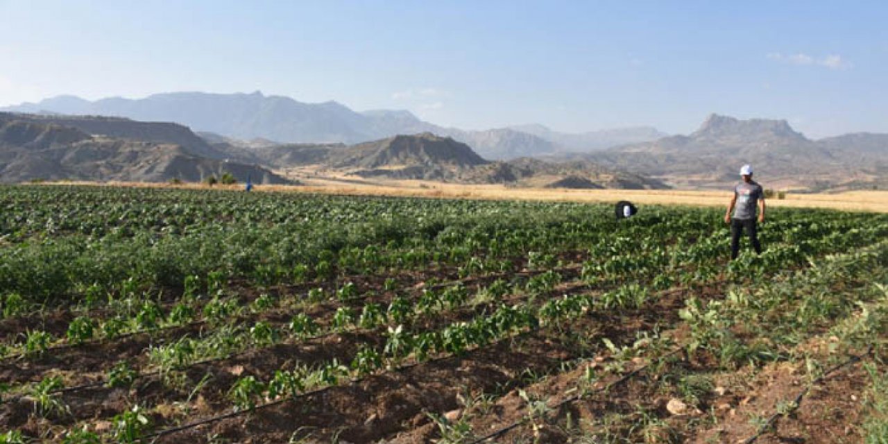 Çiftçiler dikkat! Toprağı erken sürmek su kaybına neden olabilir