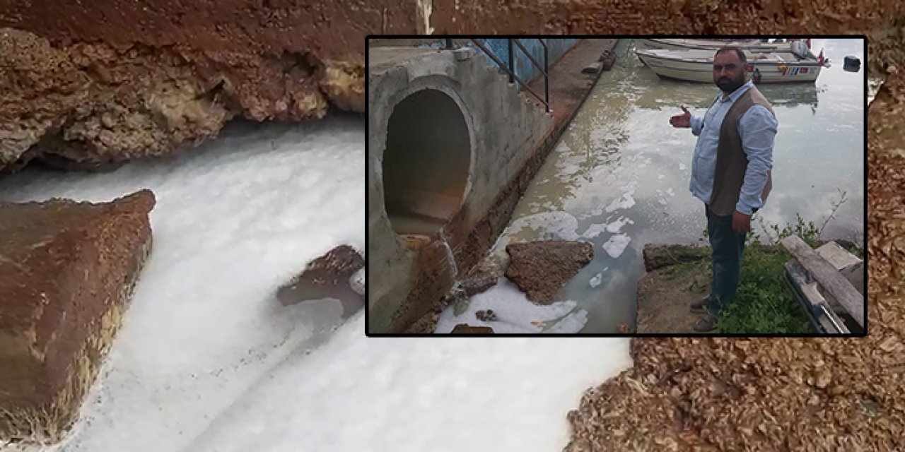 O iddia ortalığı karıştırdı! Balıklar suda ters döndü!