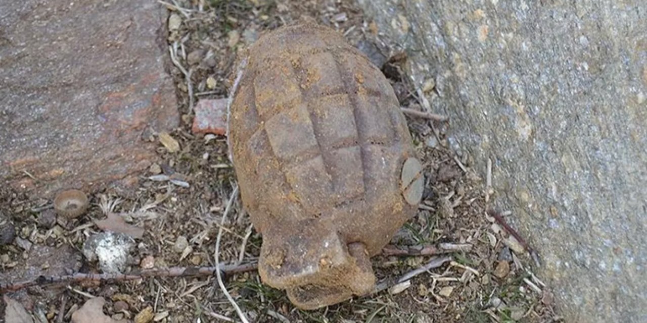 Hatay'da bir tarlada el bombası bulundu: İmha edildi