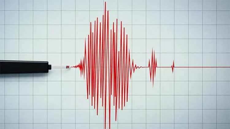 Japonya'da 6,6 büyüklüğünde deprem meydana geldi!