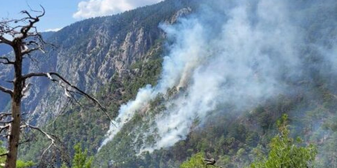 Burdur'da çıkan yangın kontrol altında