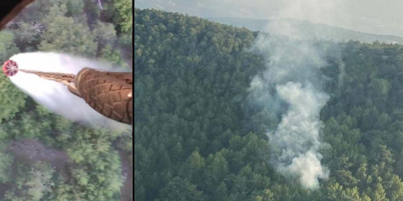 İzmir'de orman yangınına havadan müdahale