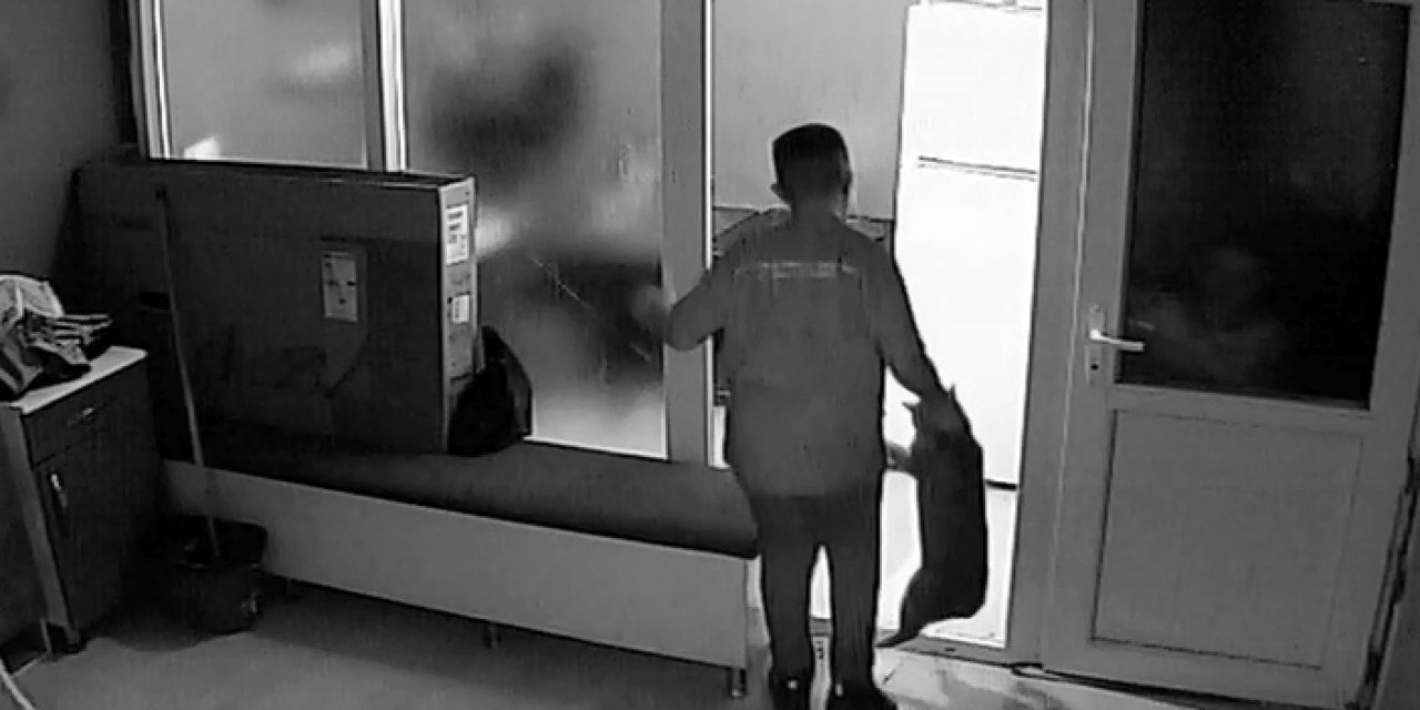 Dükkan sahibinin kedisini darbetti