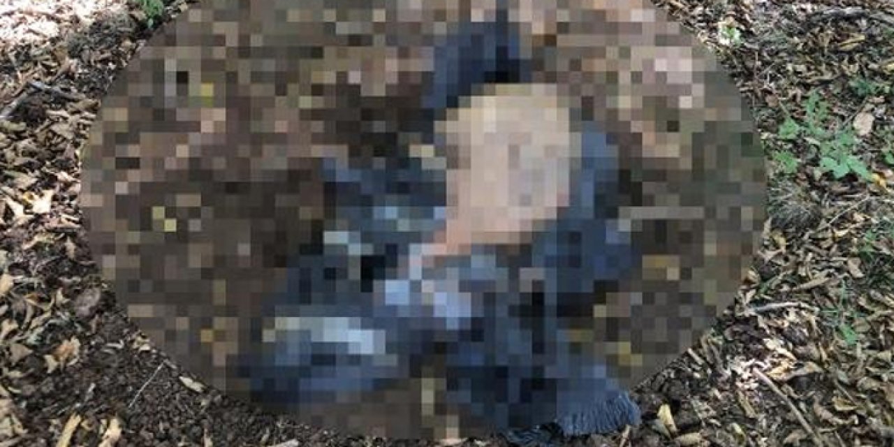 Bu nasıl canilik! Poşet içerisinde köpek ölüsü bulundu!