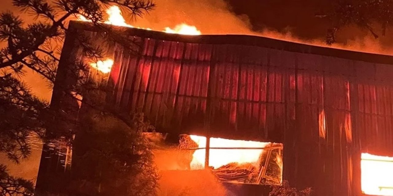 Ağaç işleme fabrikasında çıkan yangın söndürüldü