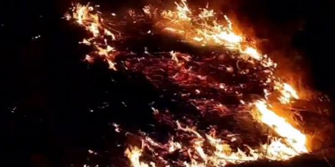 Edirne'deki yangın yola sıçradı: Tren 2 saat boyunca bekledi