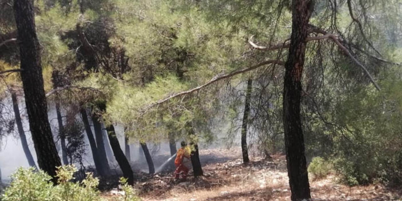 Antalya’da orman yangını çıktı