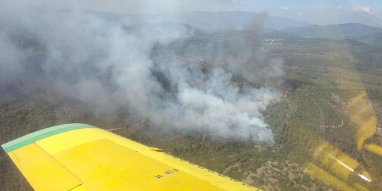 İzmir'de orman yangını çıktı