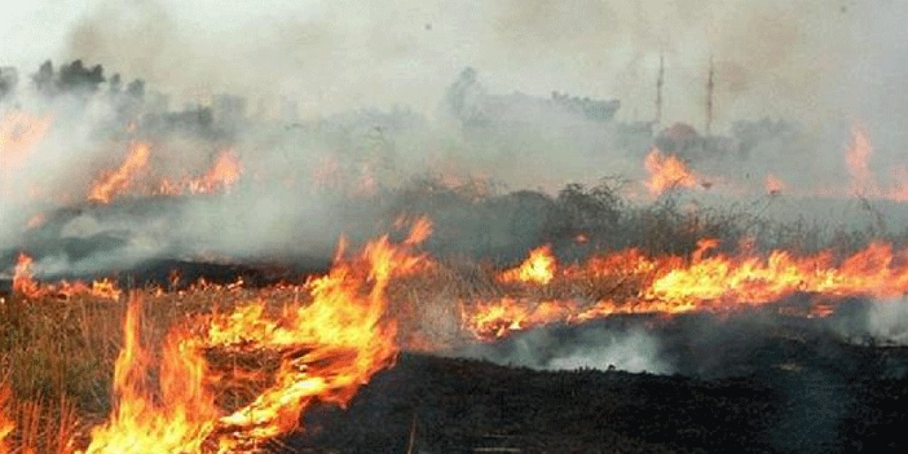 Anız yakmanın cezası ağır oldu