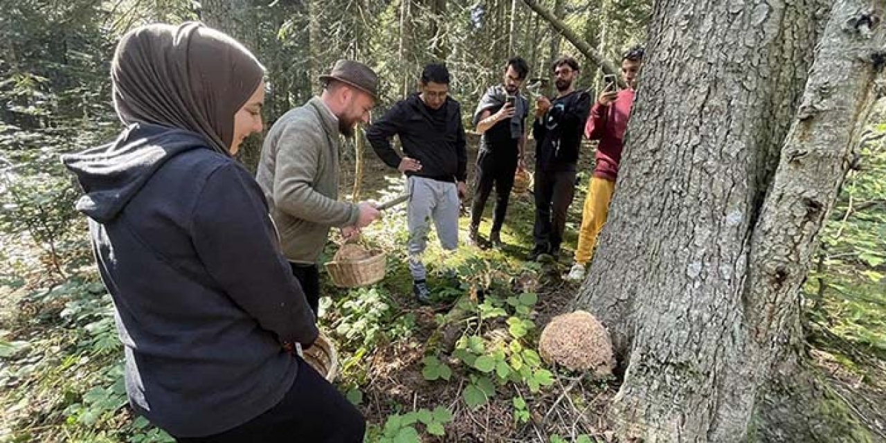 Bolu'daki yaylalar mantar meraklılarını ağırlıyor
