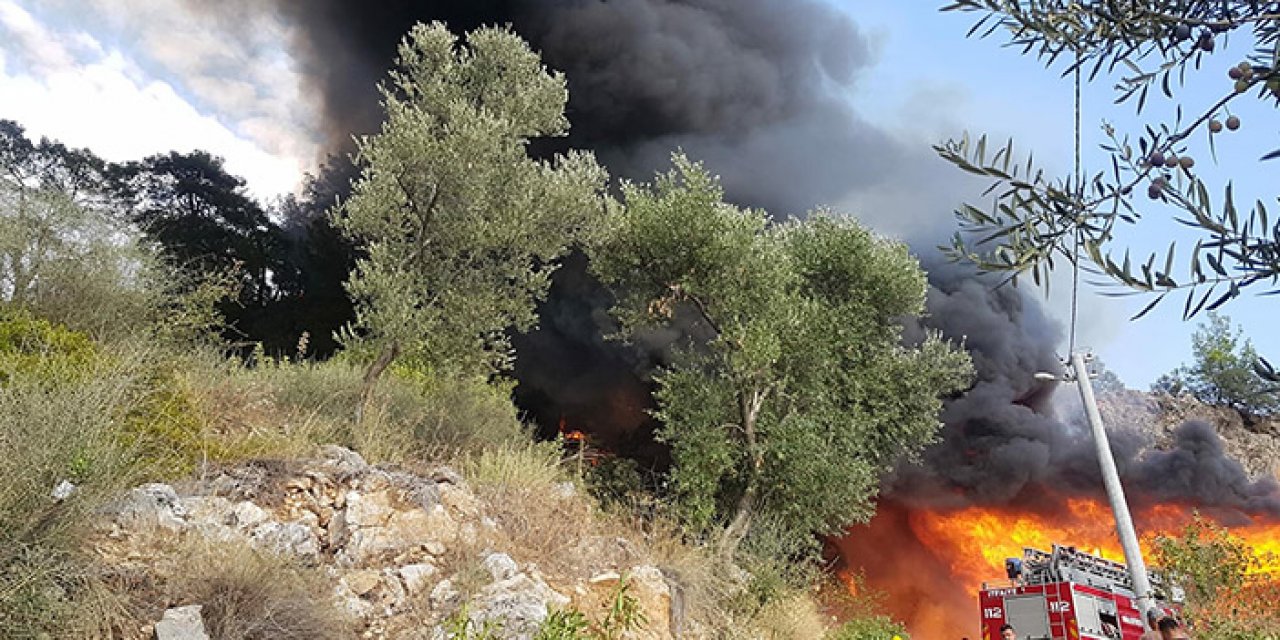 Bungalovda çıkan yangın ormana sıçradı