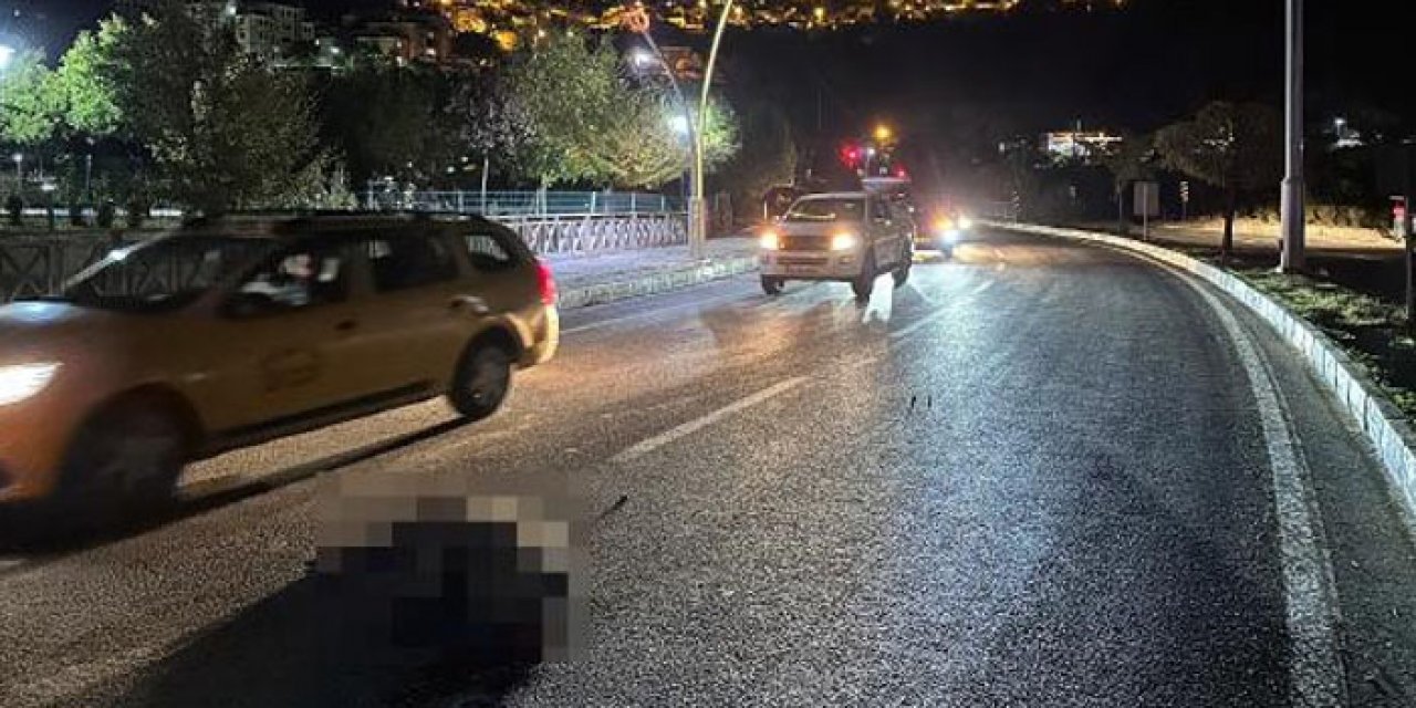 Tunceli’de 2 otomobil yola inen domuz sürüsüne daldı