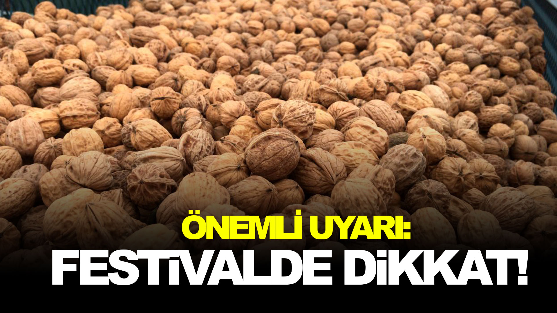 Festivalde dikkat edin...