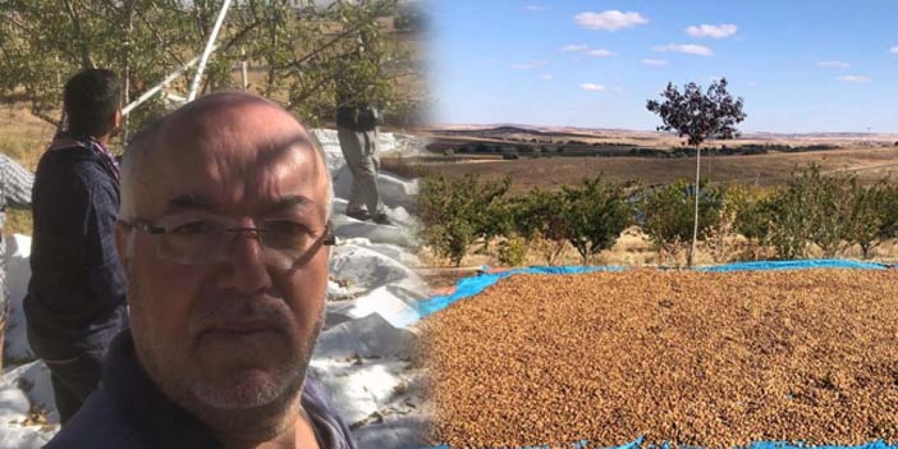 Kırşehir Mucurlu badem üreticisi fiyat açıkladı: Bizden daha iyisi yok