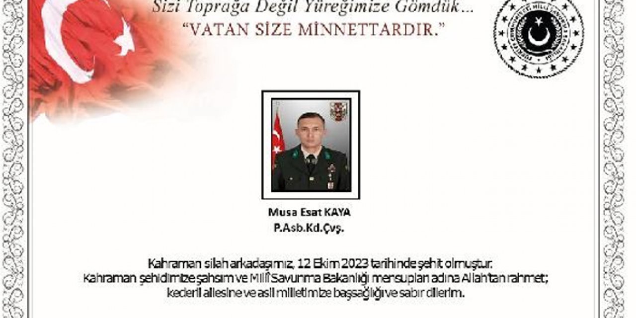 MSB acı haberi verdi: 1 asker şehit oldu