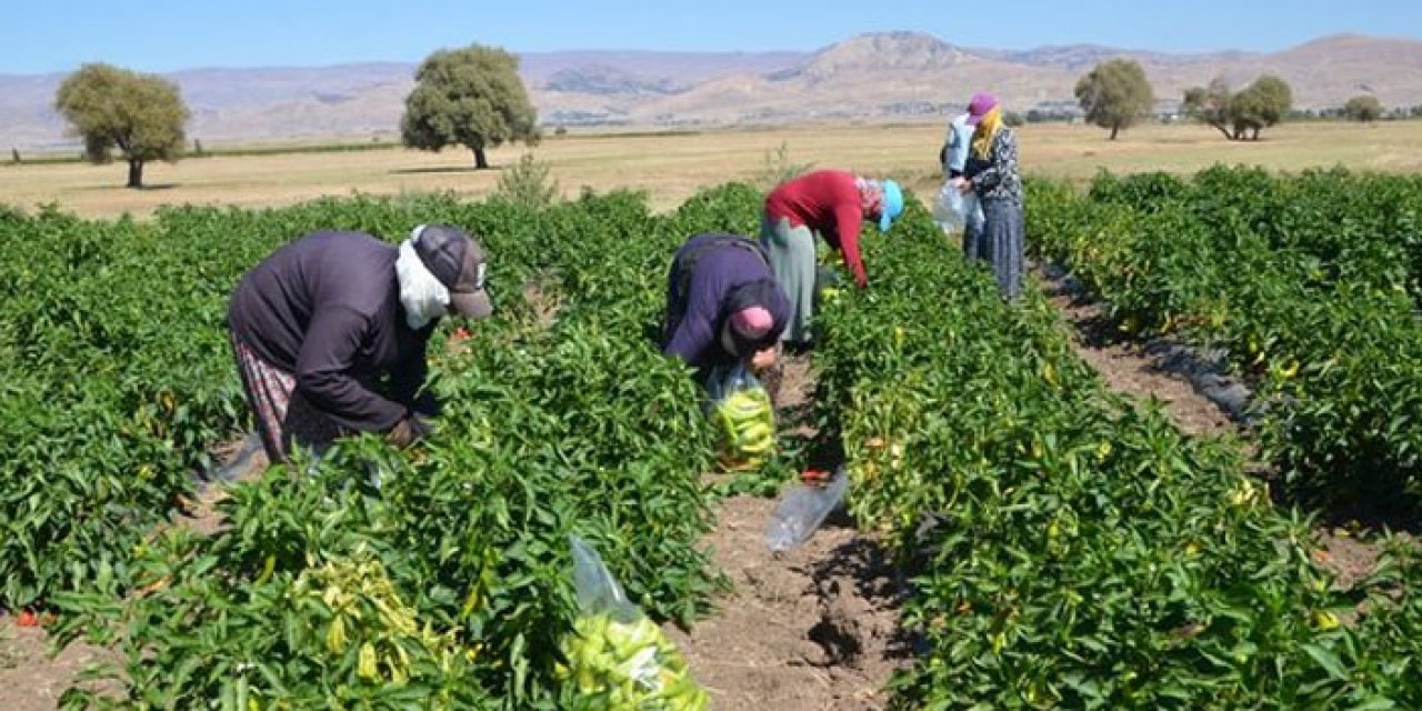 21 yılda 15 milyar destek