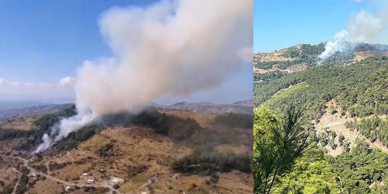 İzmir'de orman yangını çıktı