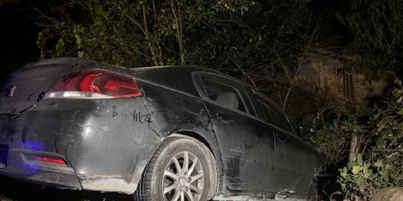 Köpeğe çarpmamak için evin bahçesine uçtu