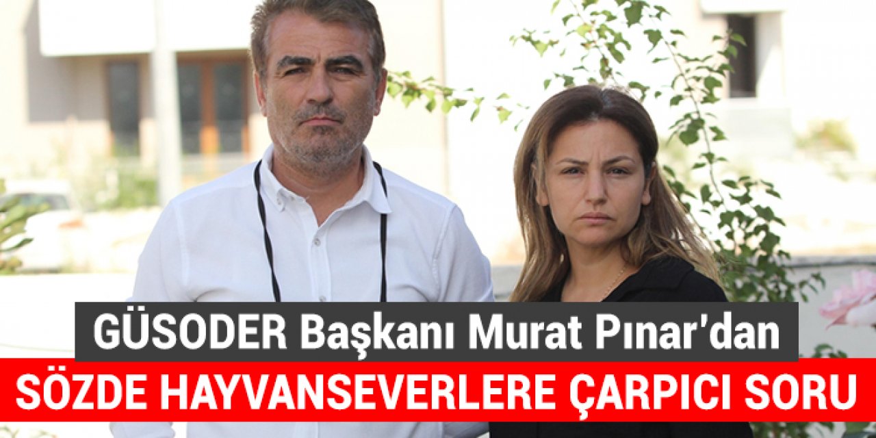 GÜSODER Başkanı Murat Pınar’dan sözde hayvanseverlere çarpıcı soru