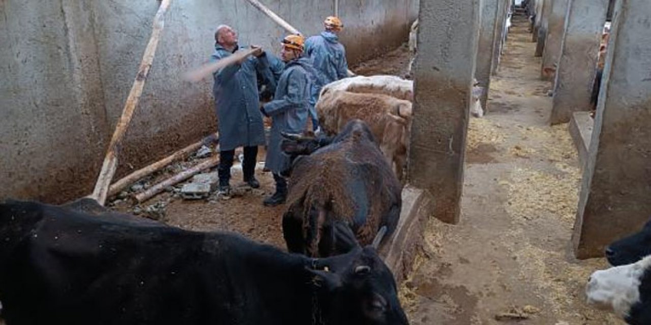 Van'ı hortum vurdu: 22 büyükbaş telef oldu