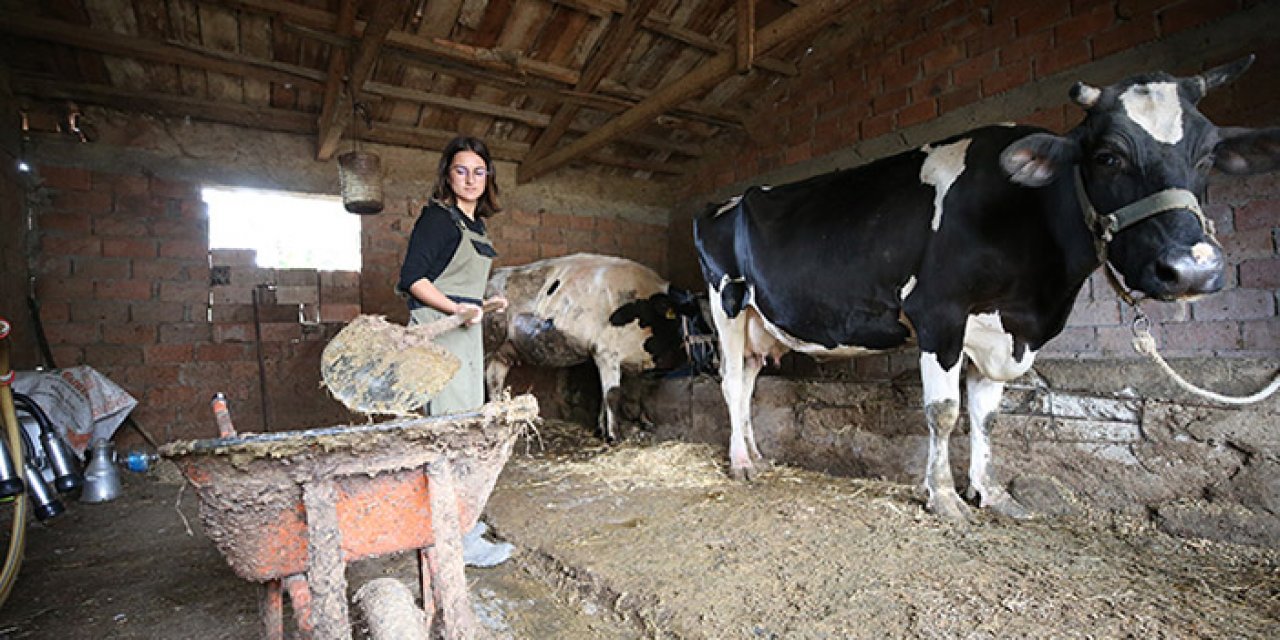 Üniversiteli Nida çiftçiliği seçti, fenomen oldu