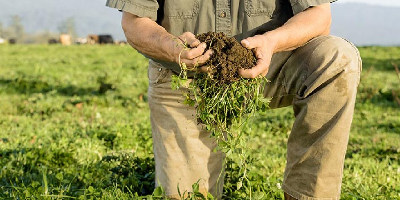 Tarımda 100 yıllık başarı öyküsü: Türkiye Avrupa’da 1. Dünyada ilk 10’da