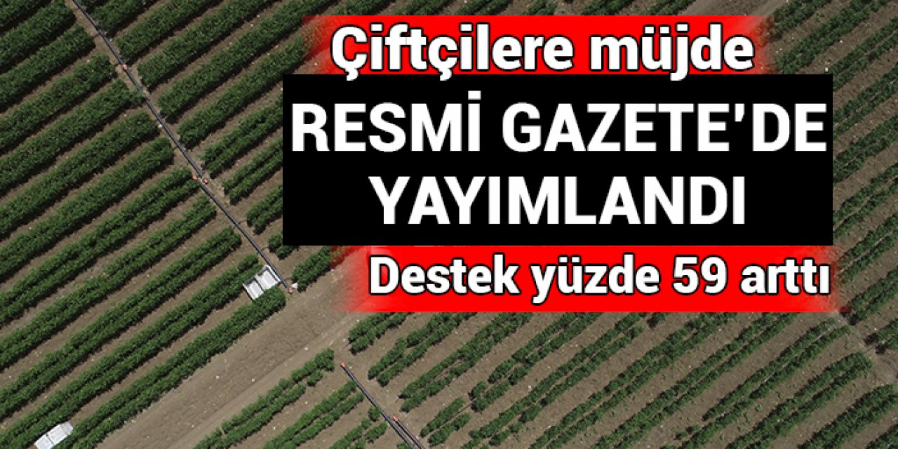 Çiftçilere müjde: Resmi Gazete’de yayımlandı, destek yüzde 59 arttı