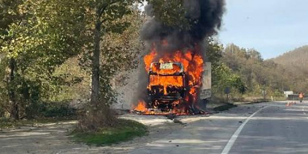 Seyir halindeki TIR alev topuna döndü