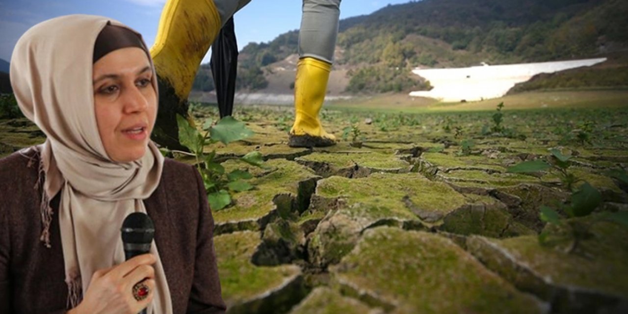 Yazar Sema Maraşlı’dan İklim Kanunu’na sert eleştiri: Küreselci satanistlerin planı