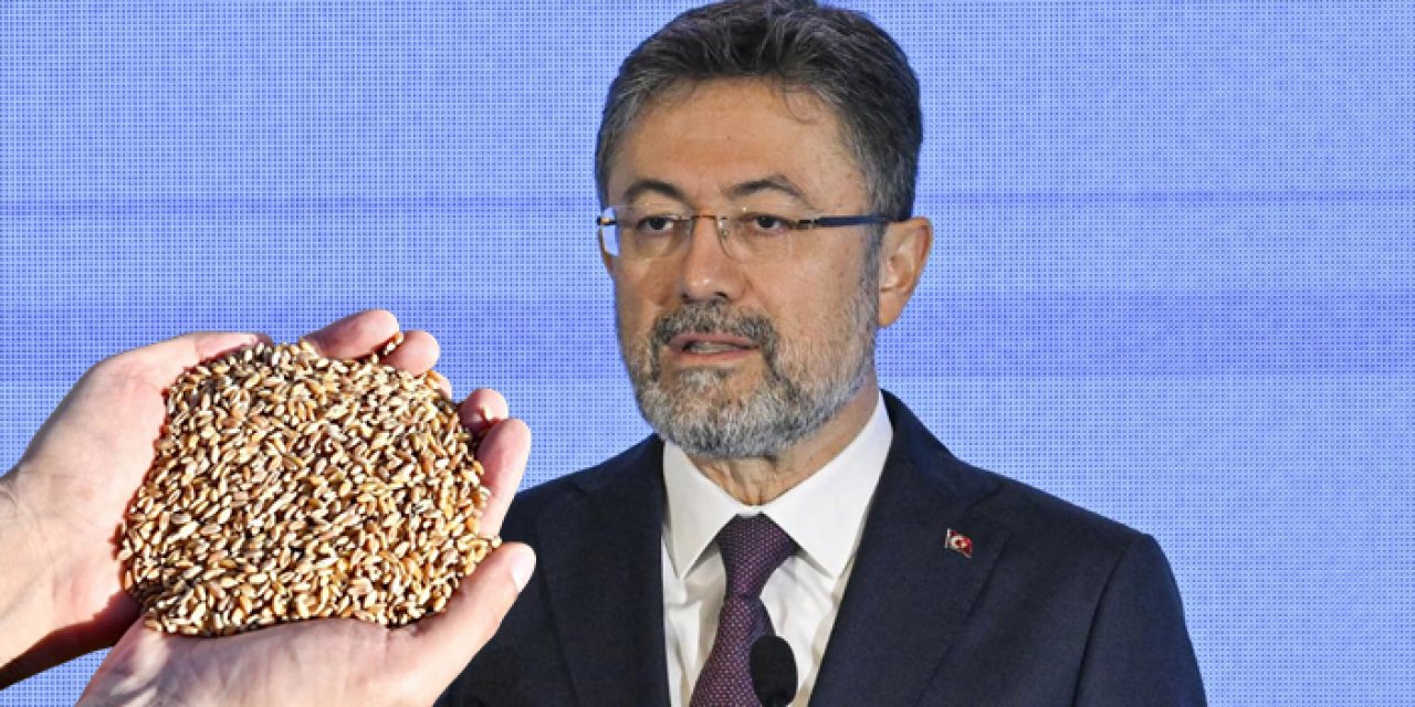 Ata tohumunda yeni gelişme