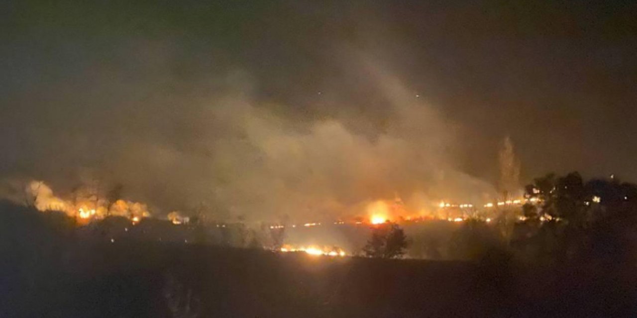 Balıkesir'de orman yangını çıktı