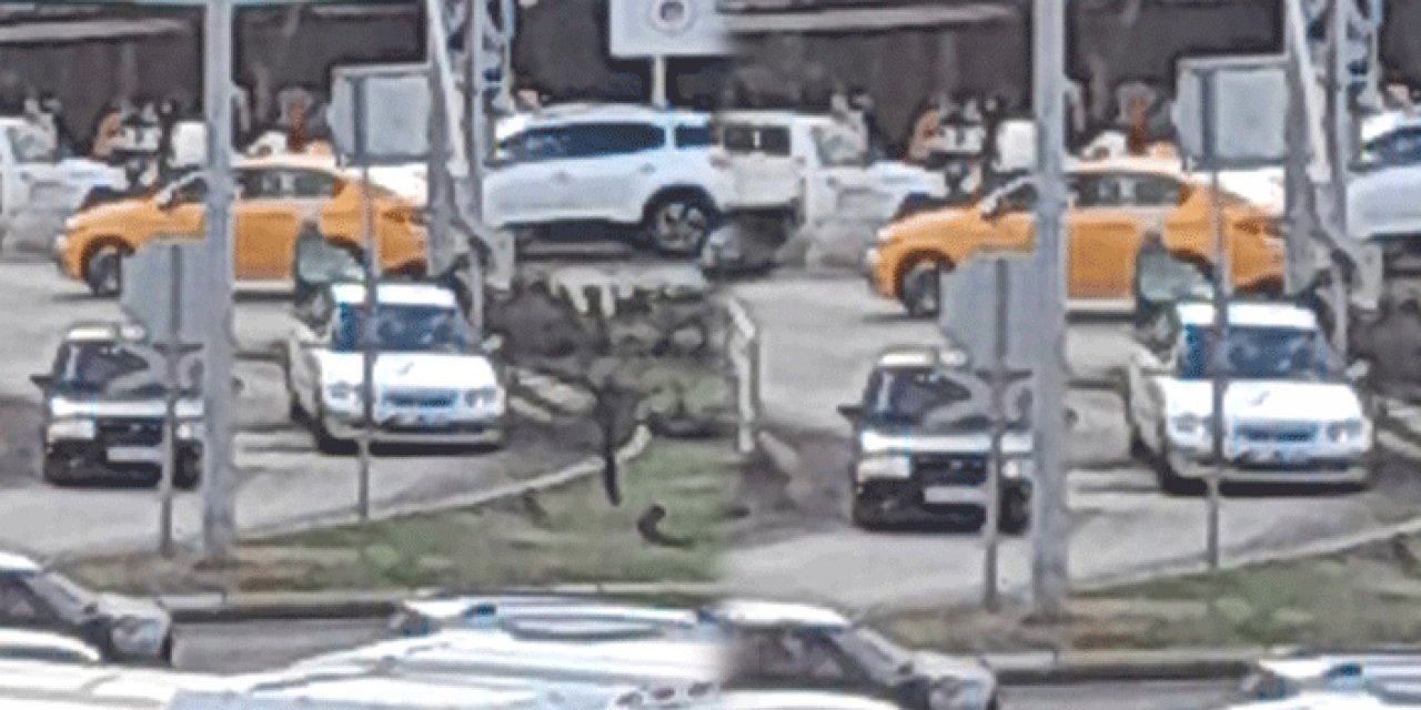 Zonguldak'ta eş kavgası: İki kadın birbirine girdi