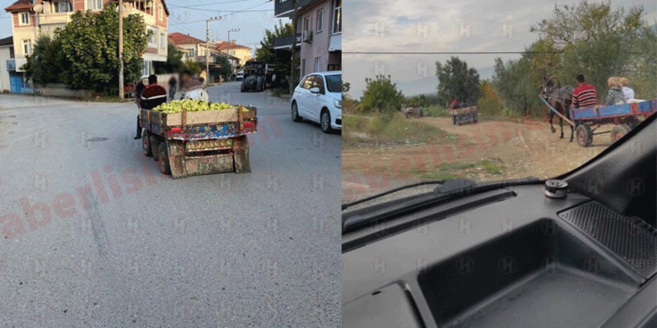 Çiftçinin can güvenliği yok: Meyve ve sebzeleri çalıyorlar!