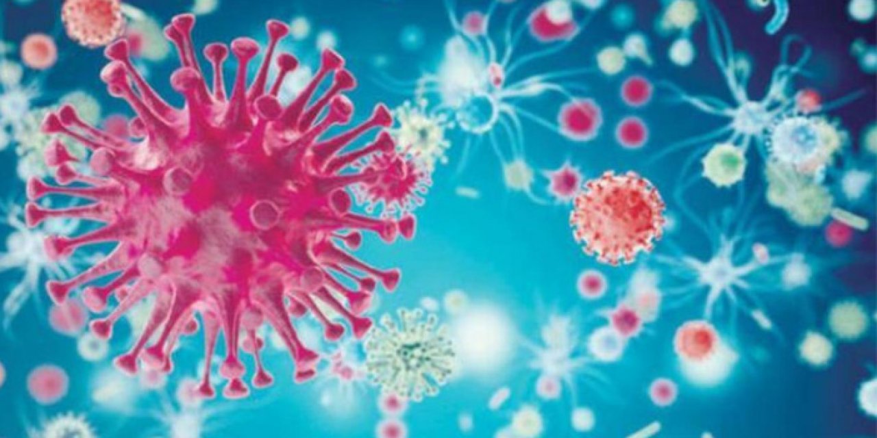 Bilim insanlarından yeni keşif: Bu virüs sadece erkekleri öldürüyor