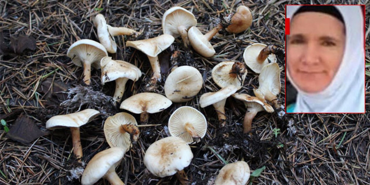 Mantardan zehirlendiler: Kadın öldü, eşi ise yoğun bakımda