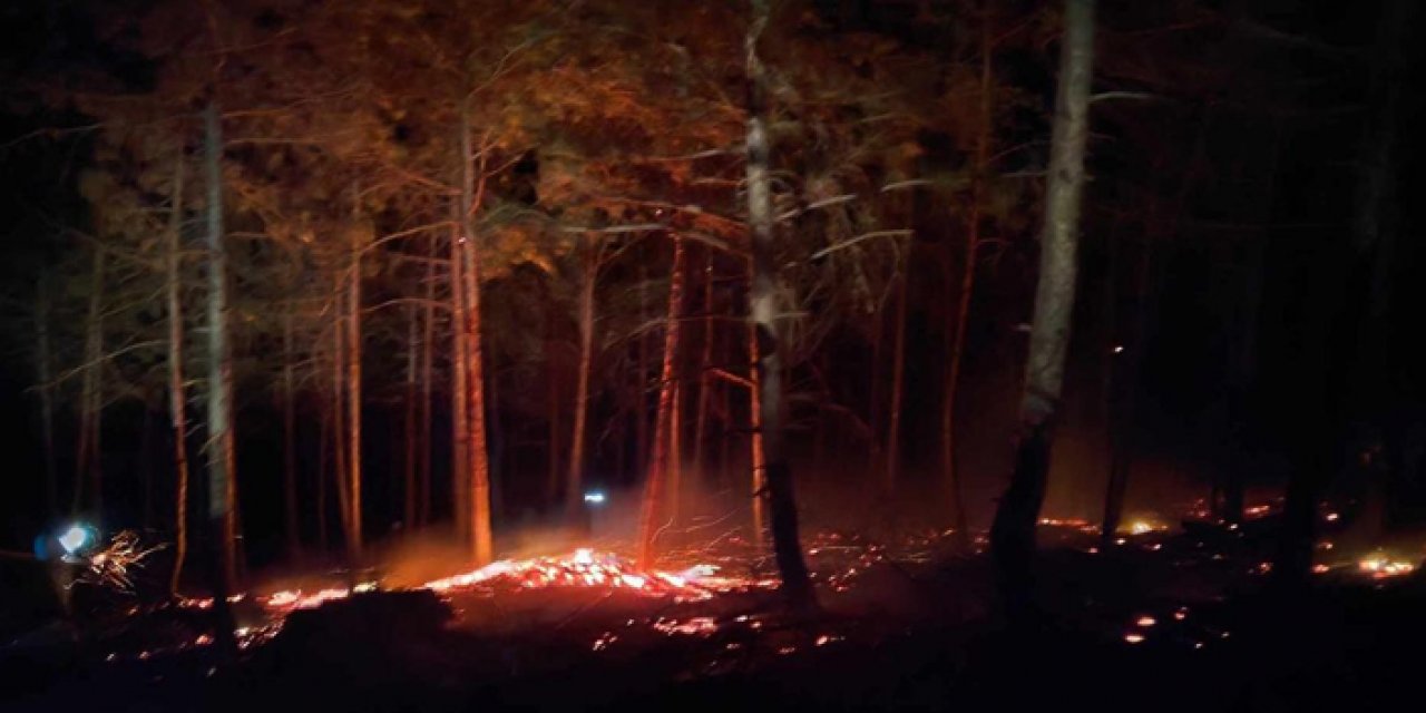Bolu’da orman yangını çıktı
