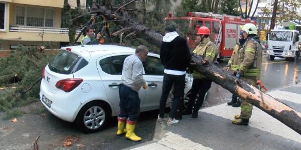 Etkili yağışın yıktığı ağaç otomobilin üzerine devrildi