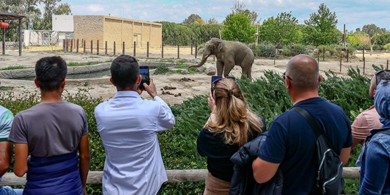 Gidenler giremeyecek: İzmir'de 1 ay boyunca kapalı olacak